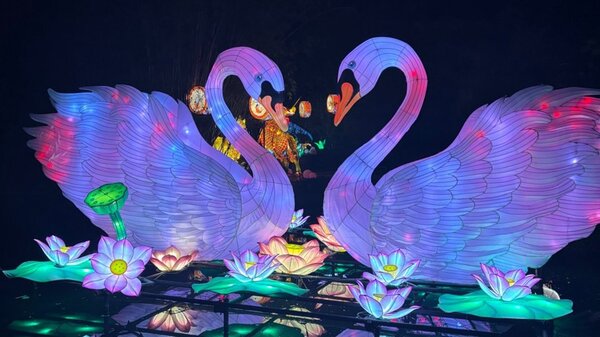 Jax Zoo Colors of the Wild - 2025 Group Holiday Celebration