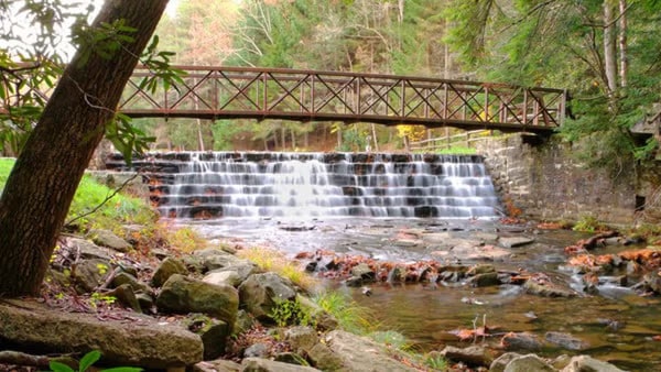 Ravine Gardens Palatka