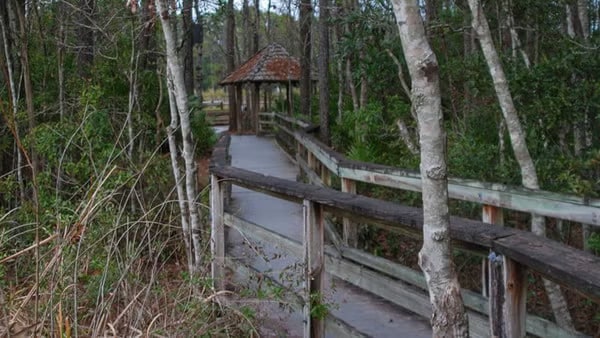 UNF Loftin Trail Walk